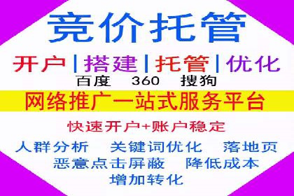 专业SEM托管：企业广告投放的明智之选